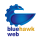 Bluehawk Web Avatar