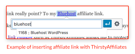 Inserting Cloaked Affiliate Link With ThirstyAffiliates