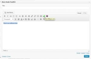 Affiliate Guide: How To Insert Affiliate Links Into Widgets