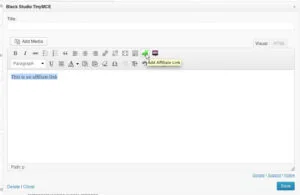 Affiliate Guide: How To Insert Affiliate Links Into Widgets