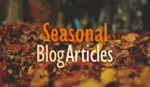 Seasonal Blog Articles: Your Secret Affiliate Marketing Weapon