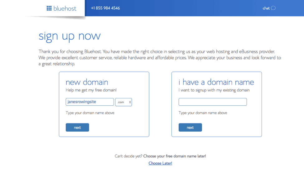 Choose a domain name in Bluehost