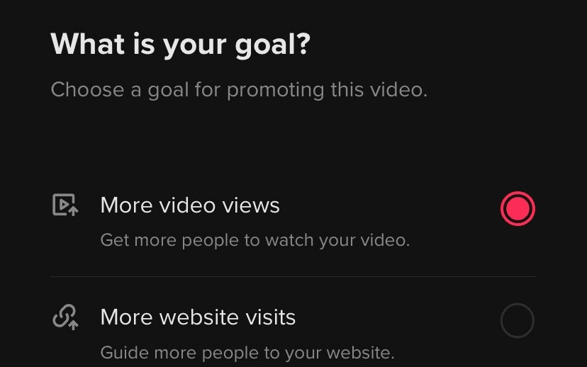 TikTok promotion goal