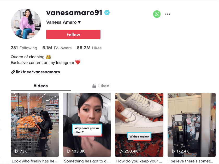 Vanesa Amaro: The Cleaning Influencer You Need to Follow