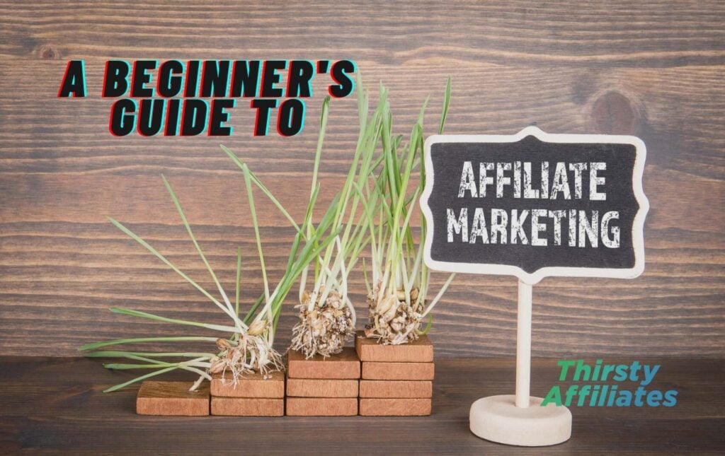 A stack of plants. Text reads "A beginner's guide to affiliate marketing". The ThirstyAffiliates Logo is present.