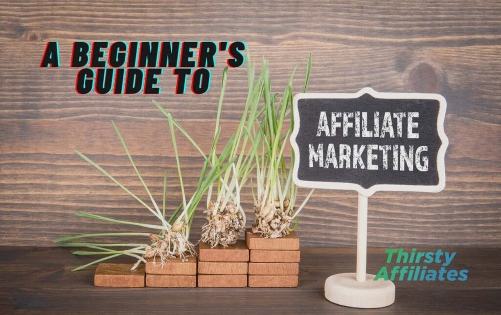 Une pile de plantes. Le texte se lit comme suit : "A beginner's guide to affiliate marketing" (Guide du débutant pour le marketing d'affiliation). Le logo ThirstyAffiliates est présent.