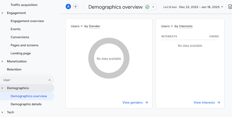 Google Analytics demographics