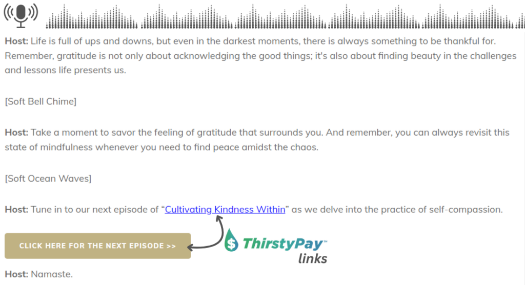 Include ThirstyPay™ links in your podcast transcript for easy purchasing 