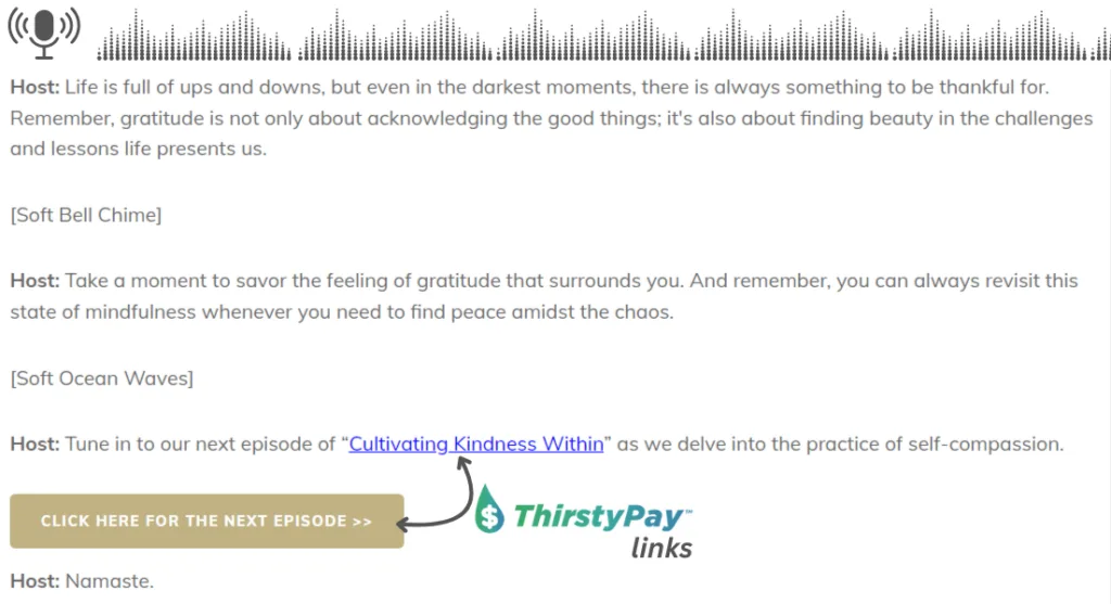 Fügen Sie ThirstyPay™-Links in Ihr Podcast-Transkript ein, um den Kauf zu erleichtern. 