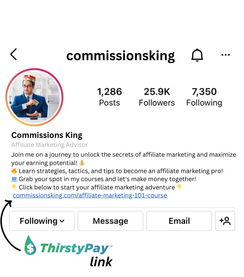 Promote ThirstyPay™ links in your Instagram Link in Bio 
