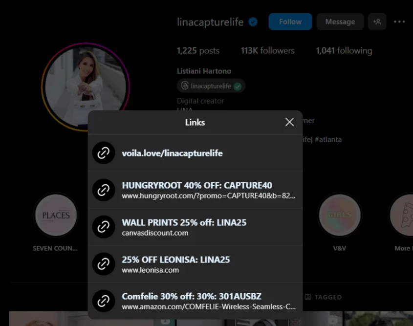 O exemplo do link do Instagram na biografia direciona os seguidores para vários links de referência