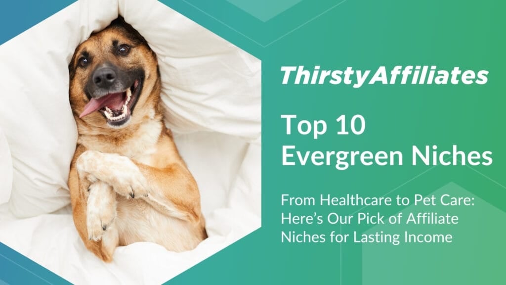 Imagen que muestra un perro en un cómodo nicho con el título "Los 10 mejores nichos Evergreen"