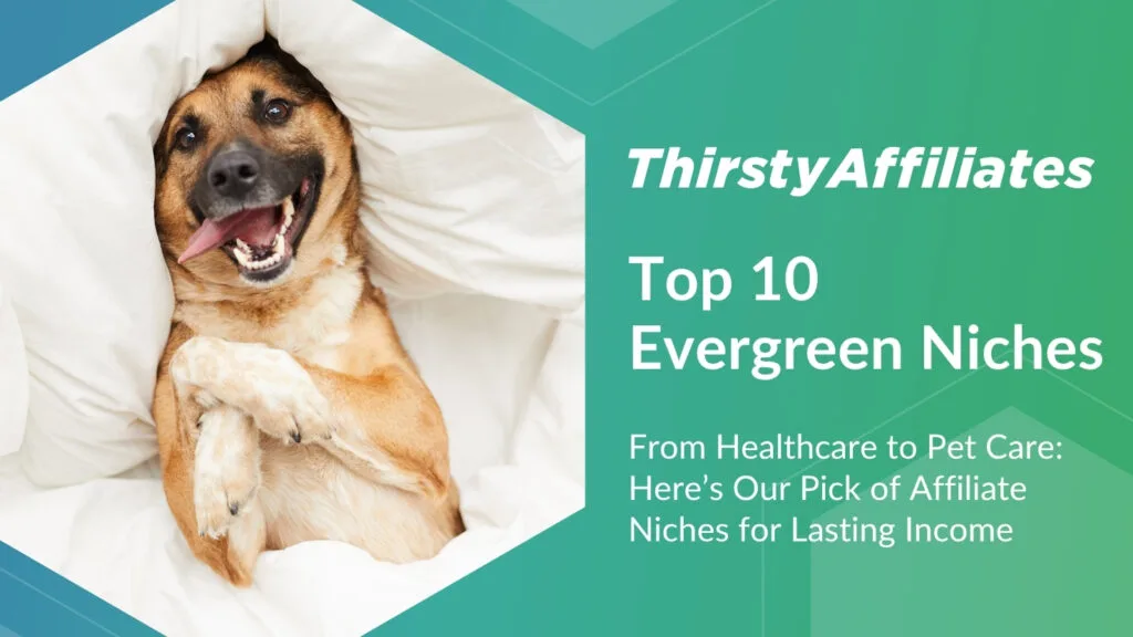 Imagen que muestra un perro en un cómodo nicho con el título "Los 10 mejores nichos Evergreen"
